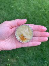 Load image into Gallery viewer, Calendula Salve